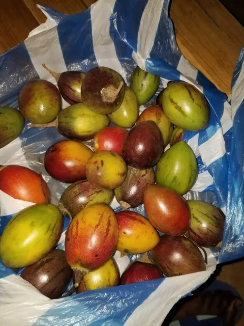 4ème mobilisation communautaire